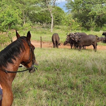 侯斯普瑞特Wild Ride Safaris And Bush Camp别墅 外观 照片