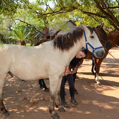 侯斯普瑞特Wild Ride Safaris And Bush Camp别墅 外观 照片