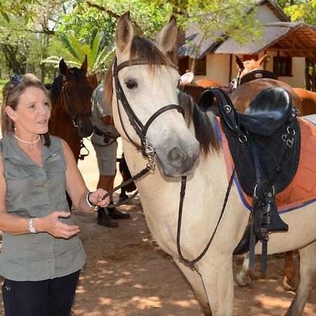 侯斯普瑞特Wild Ride Safaris And Bush Camp别墅 外观 照片