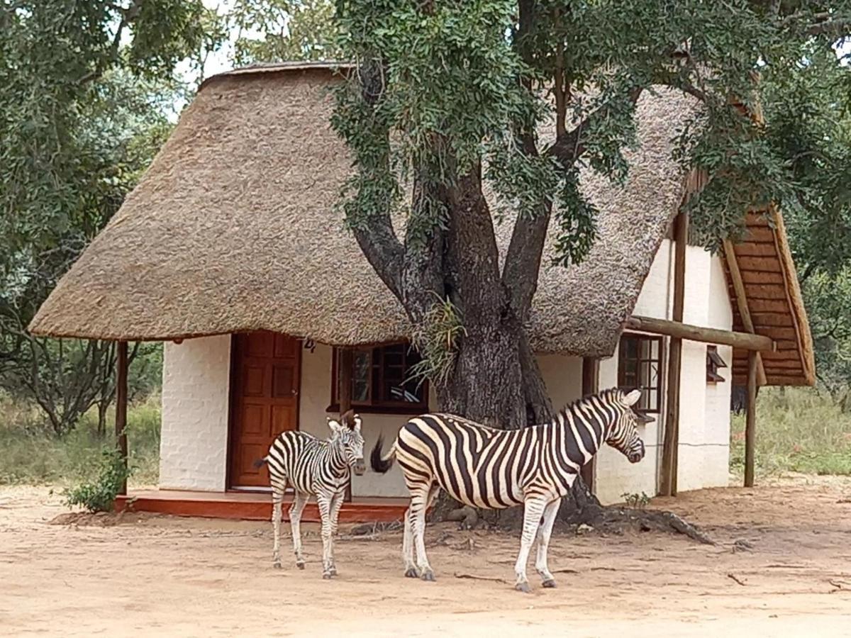 侯斯普瑞特Wild Ride Safaris And Bush Camp别墅 外观 照片