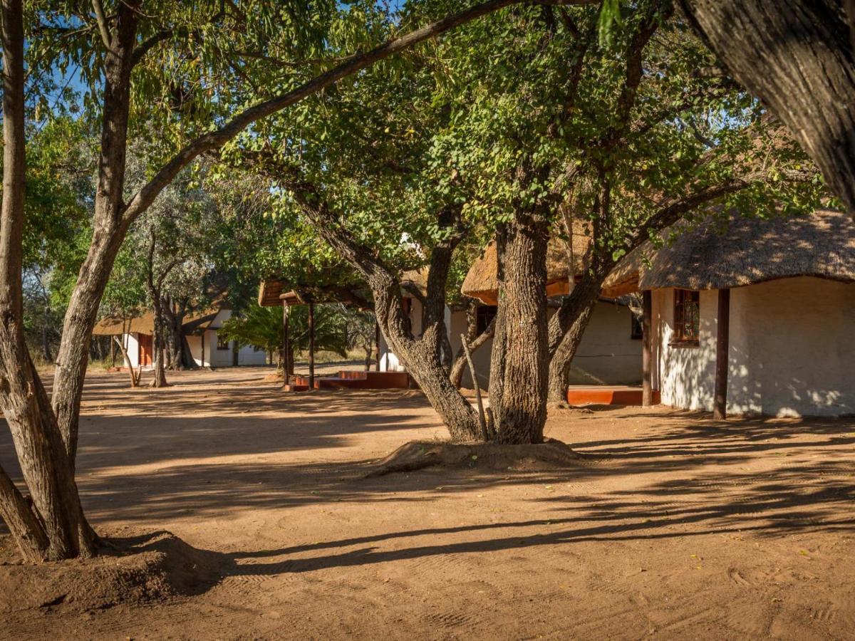 侯斯普瑞特Wild Ride Safaris And Bush Camp别墅 外观 照片