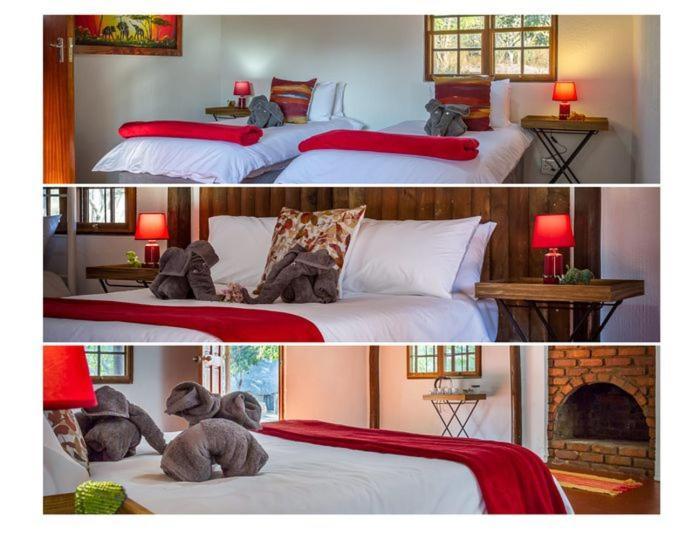 侯斯普瑞特Wild Ride Safaris And Bush Camp别墅 外观 照片