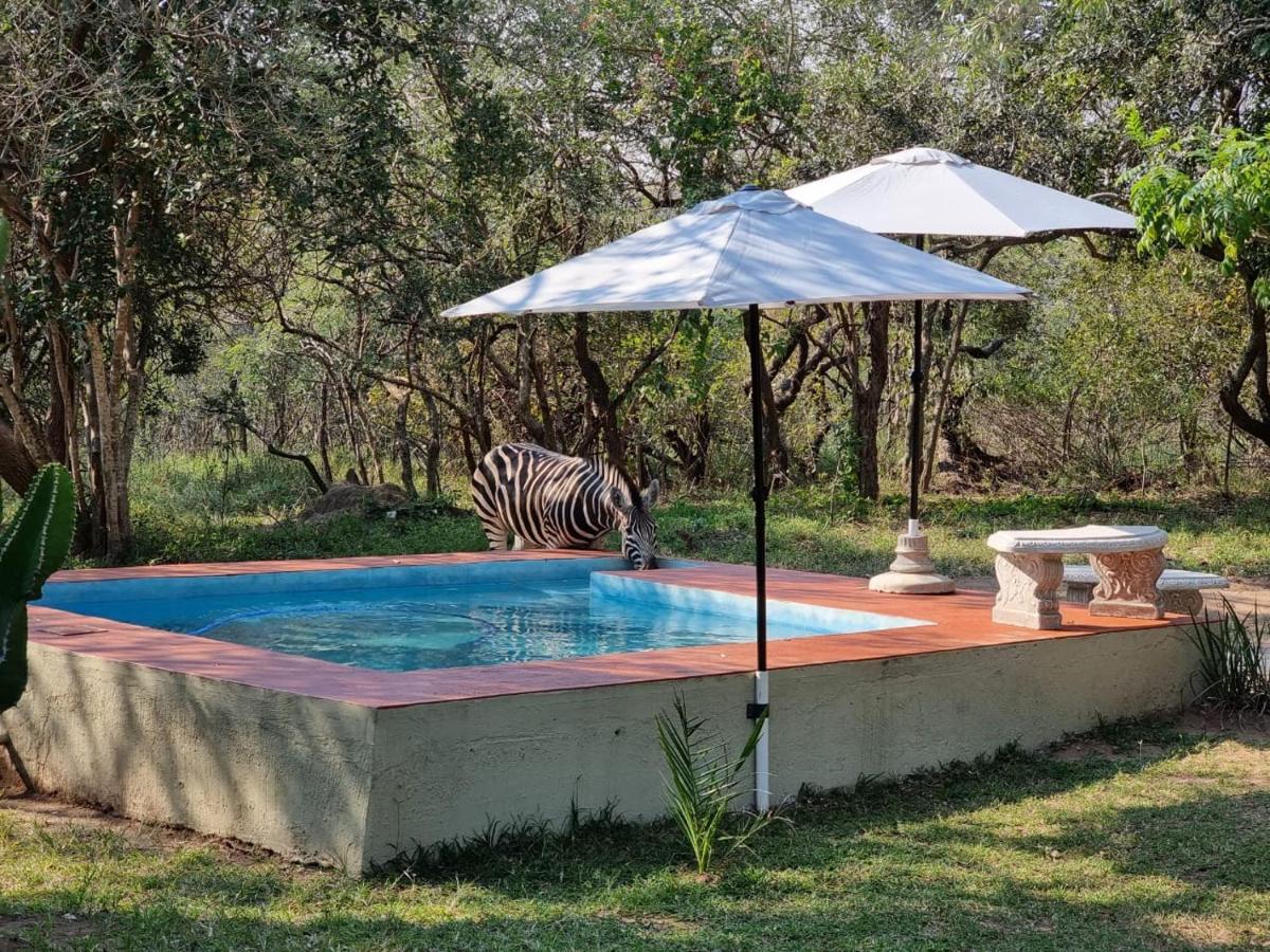 侯斯普瑞特Wild Ride Safaris And Bush Camp别墅 外观 照片